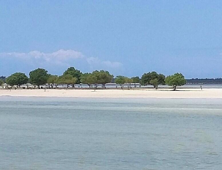 Michamvi Emma Bay Beach House מראה חיצוני תמונה